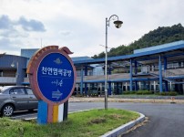 천연2.jpg